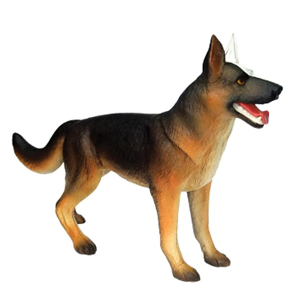 Modelo de Anatomia de Órgão Cachorro - 4D Dog Intelligence Montagem Brinquedo