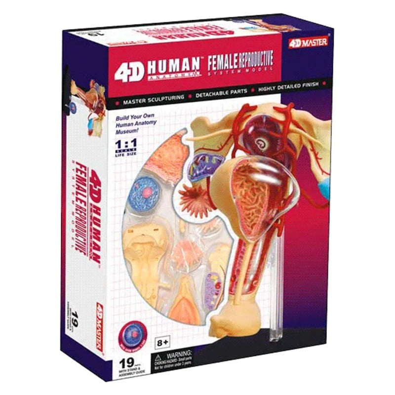 4D Sistema Reprodutivo Feminino Master Puzzle