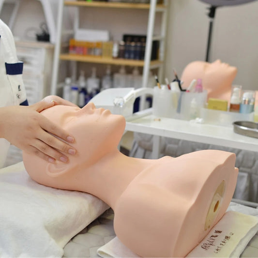 Grande Metade do Corpo de Silicone para Cosmetologia