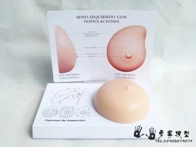 Modelo de Mama Patológico para Auto-Exame de Mama