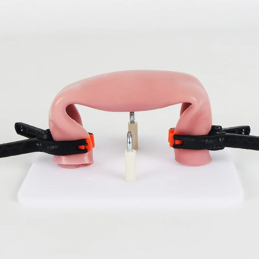 Modelo de Sutura Intestinal com Suporte e Clipe Laparoscópico – Módulo de Treinamento para Anastomose