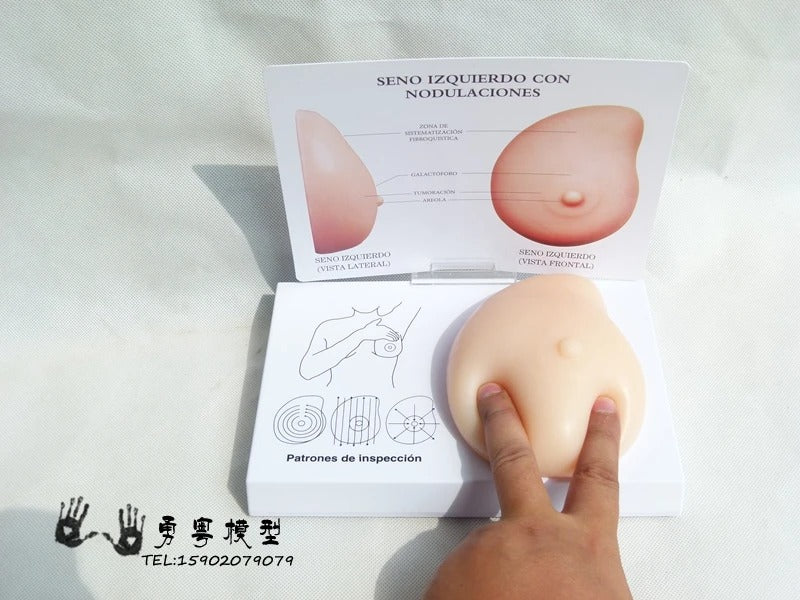Modelo de Mama Patológico para Auto-Exame de Mama