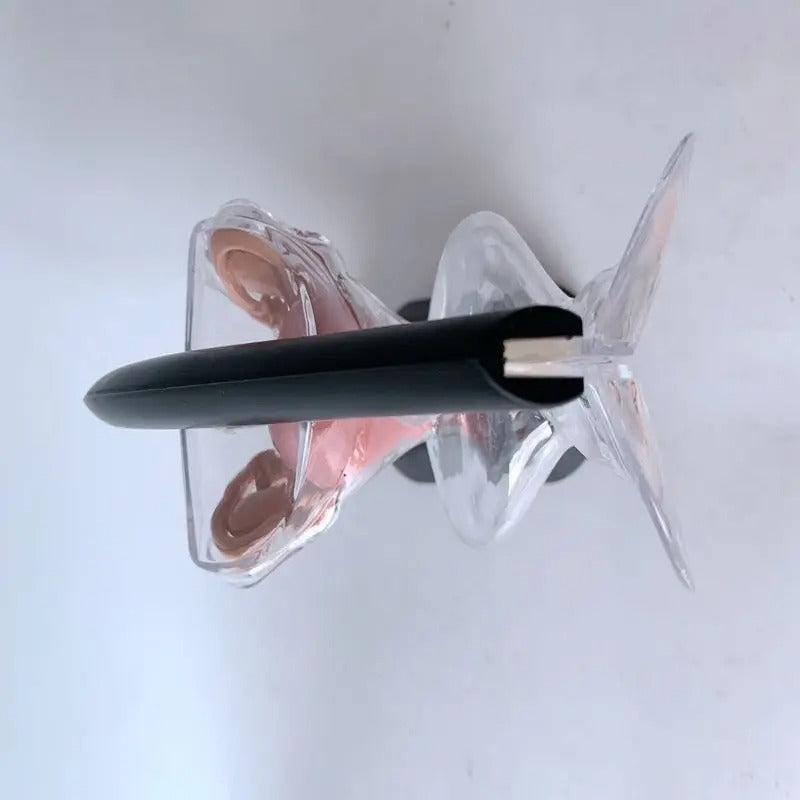 Modelo de Útero Transparente Feminino
