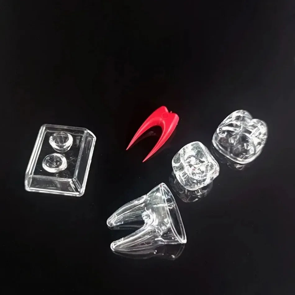 Modelo Anatômico Dental Destacável e Transparente – Luminoso e Único Dente