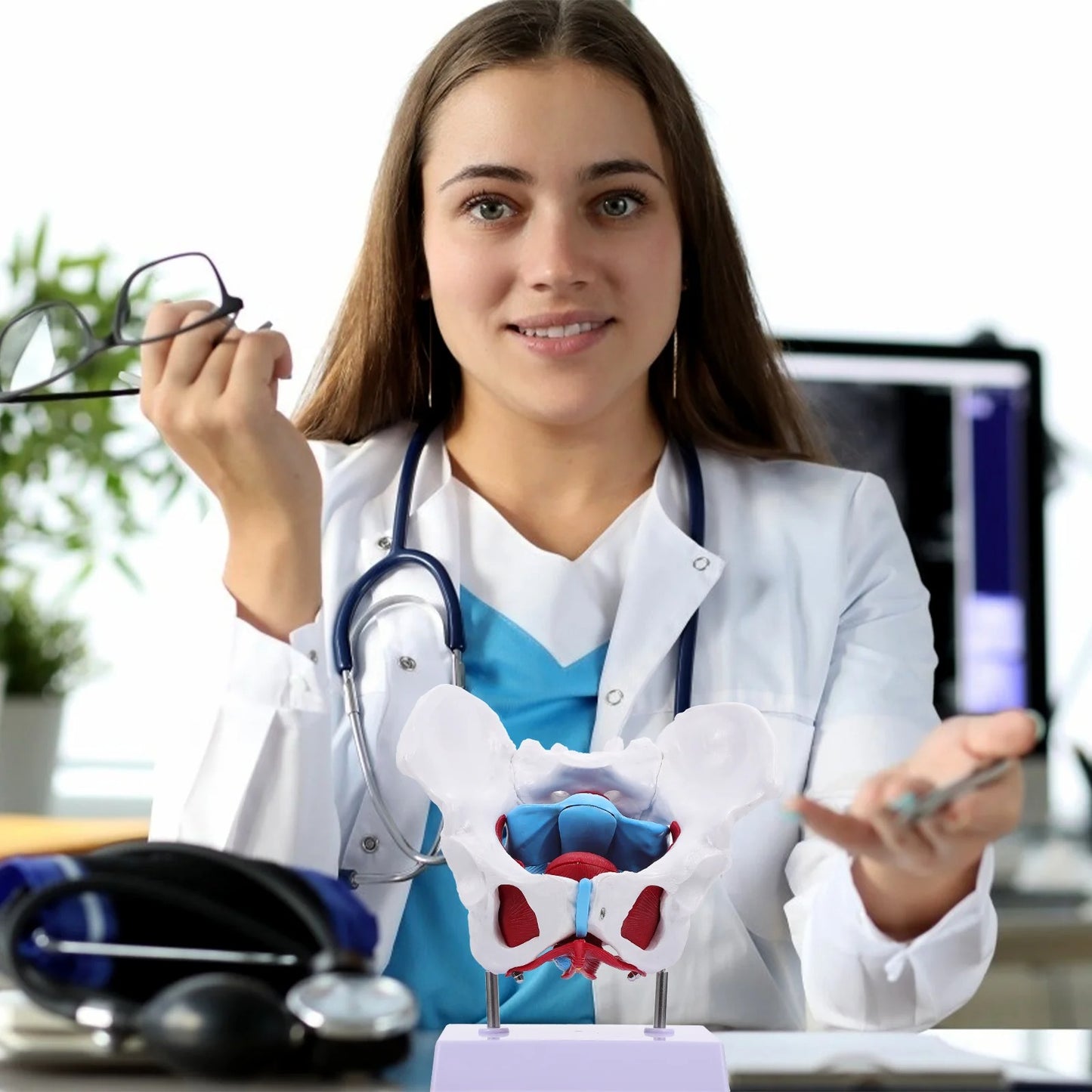 Modelo do Útero Pélvico para Aprendizado da Estrutura
