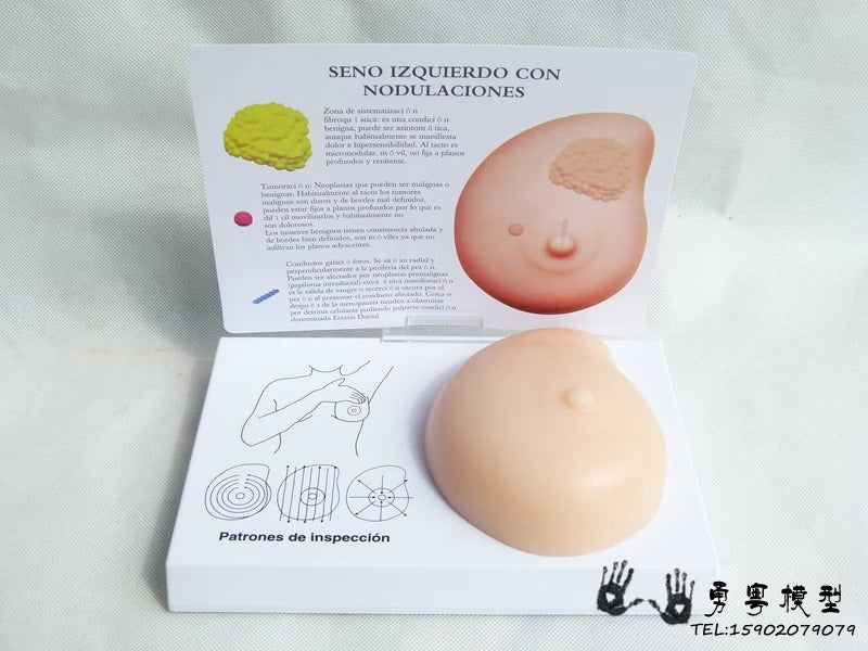 Modelo de Mama Patológico para Auto-Exame de Mama