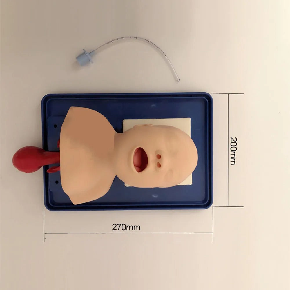 Modelo De Intubação Recém-nascido