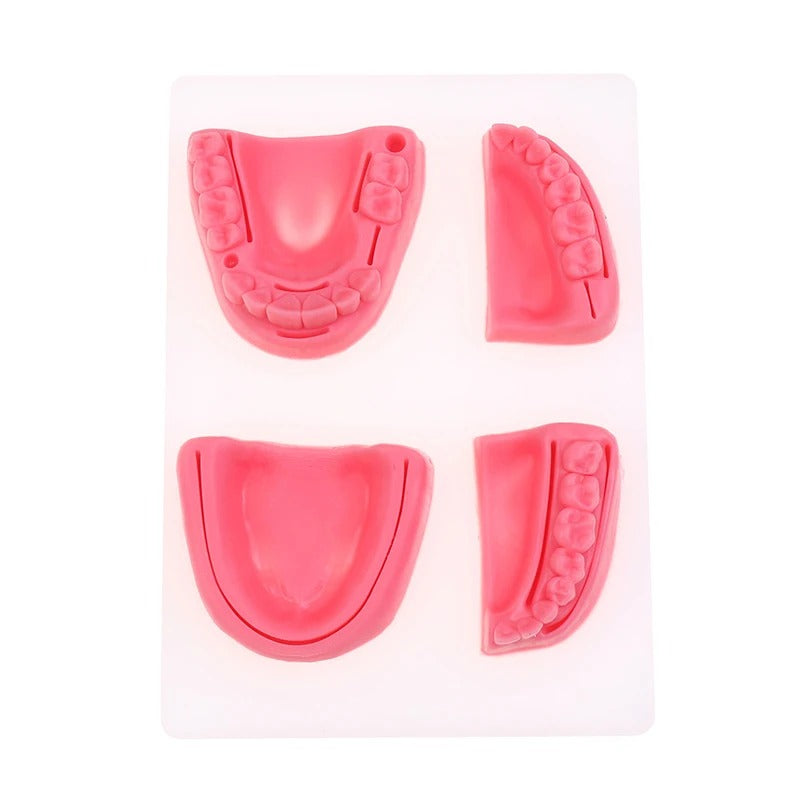 Kit de Treinamento de Sutura Cirúrgica Dental – Modelo de Prática de Sutura