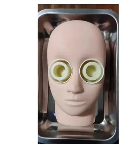 Modelo de Cabeça Oftálmica
